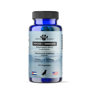 A bottle of Focus and Immunity supplements for large dog breeds.
