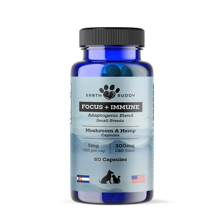 A bottle of Focus and Immunity supplements from Earth Buddy.