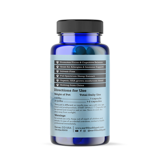 A bottle of Focus and Immunity supplements for large dog breeds.