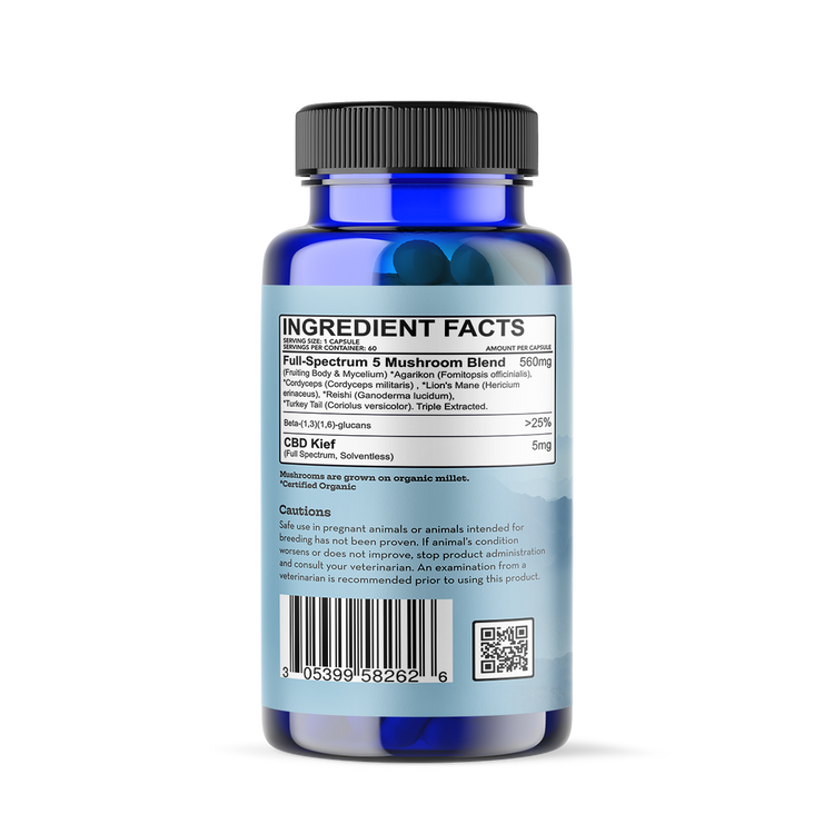 A bottle of Focus and Immunity supplements for large dog breeds.