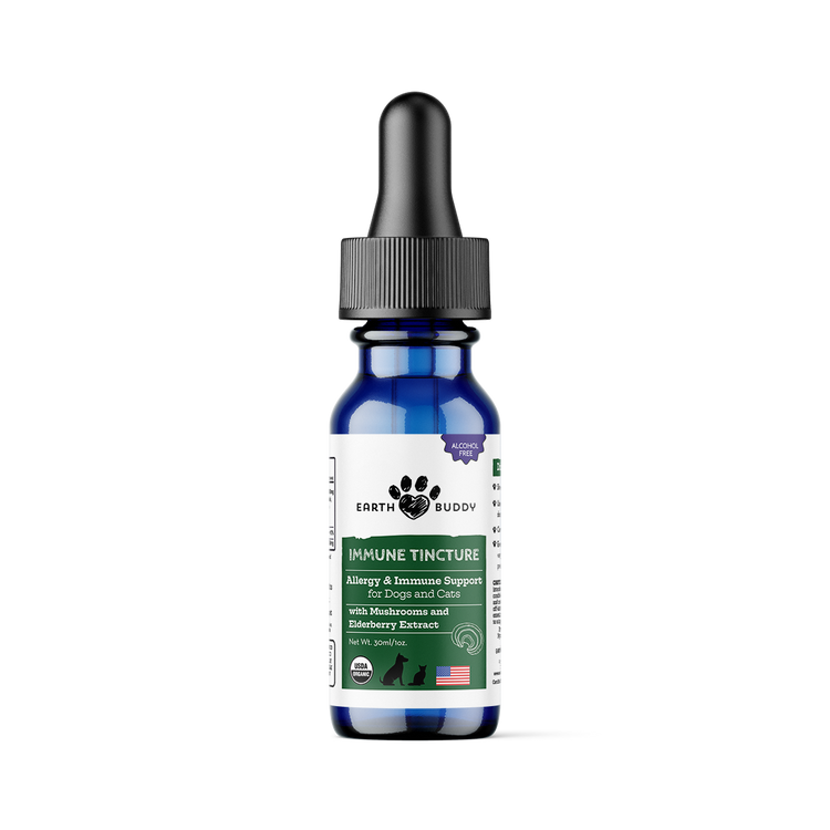 Bottle of Earth Buddy Immune Tincture on a white background
