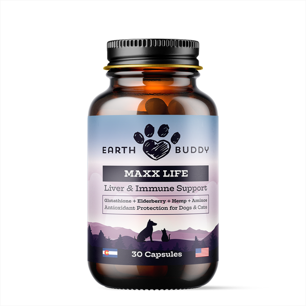 Glutathione for Dogs