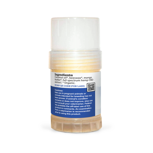 A tube of Earth Buddy hemp 125 mg Paw & Skin Balm for dogs on a wooden table. Perfect for dry skin & noses.
