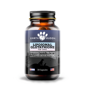 Liposomal Glutathione for Dogs - Liver Detox System