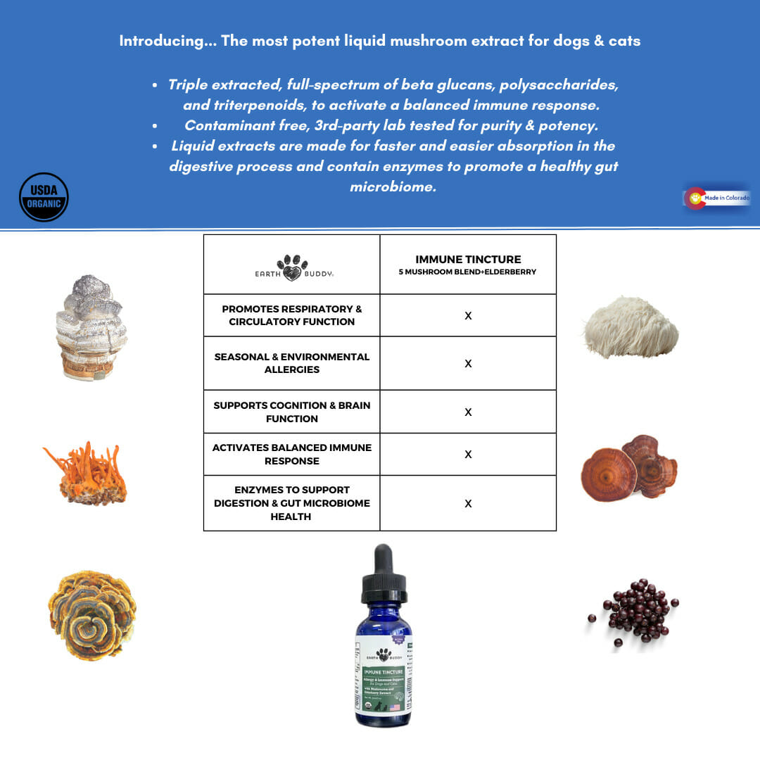 Immune Tincture – Allergy & Immune Support Mushroom Tincture for Pets