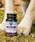  A bottle of Earth Buddy Maxx Life Glutathione for dogs and cats.
