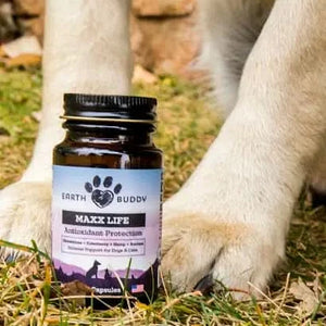  A bottle of Earth Buddy Maxx Life Glutathione for dogs and cats.
