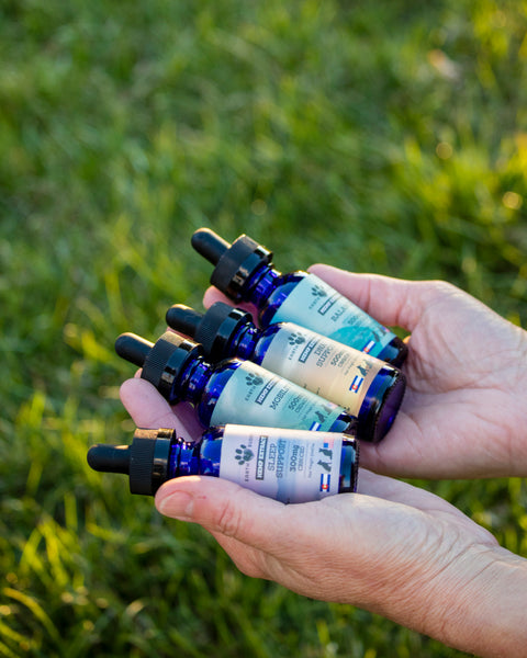 Earth Buddy specializes in creating full spectrum extracts containing cannabinoids to support calming dogs and joints.