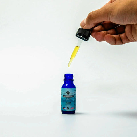 Someone holding the dropper from the 250 mg CBD oil for dogs included in Earth Buddy’s Skin & Coat Support Pack.
