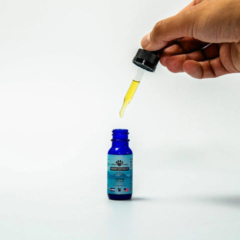 CBD for Cats