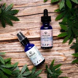 Earth Buddy CBD tinctures that are a part of a pet calming supplements bundle.
