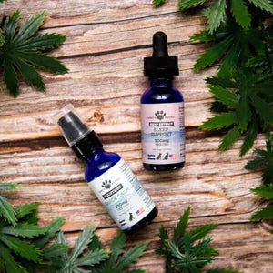 Earth Buddy CBD tinctures that are a part of a pet calming supplements bundle.
