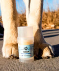 A tube of Earth Buddy hemp 125 mg Paw & Skin Balm for dogs on a wooden table. Perfect for dry skin & noses.