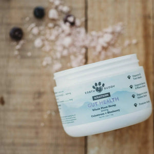 A container of Earth Buddy Gut Health and Focus + Immune. These products make the Immune Defense Pack for Cats & Small Breed Dogs.
