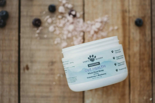 A container of Earth Buddy Gut Health and Focus + Immune. These products make the Immune Defense Pack for Cats & Small Breed Dogs.
