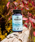 Supplement bottle labeled 'Focus + Immune' on a wooden log with autumn leaves in the background