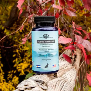 Joint Supplements Bundle