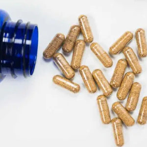A bottle of Focus and Immunity supplements for large dog breeds.