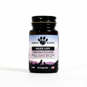 A bottle of Maxx Life glutathione supplement for aging pets included in the Senior Support Pack for Small Breeds
