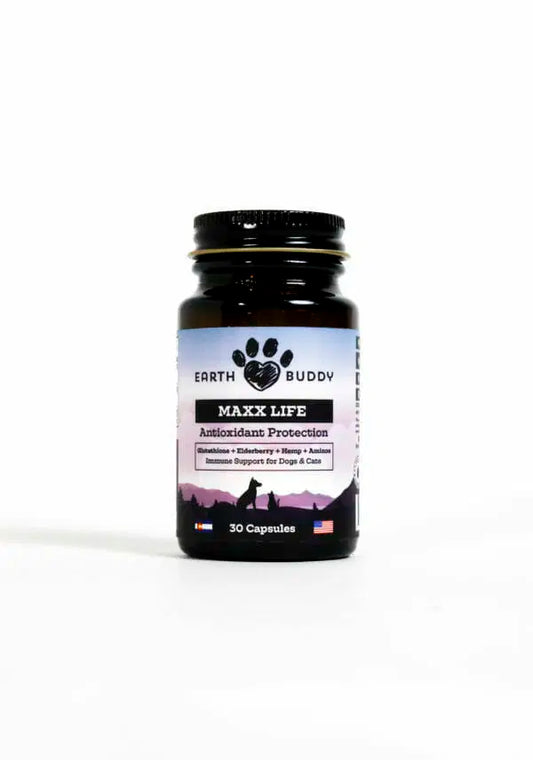 A bottle of Maxx Life glutathione supplement for aging pets included in the Senior Support Pack for Small Breeds
