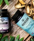 Earth Buddy’s Senior Support Pack for Large Breed Dogs with mushrooms and hemp supports aging dogs.
