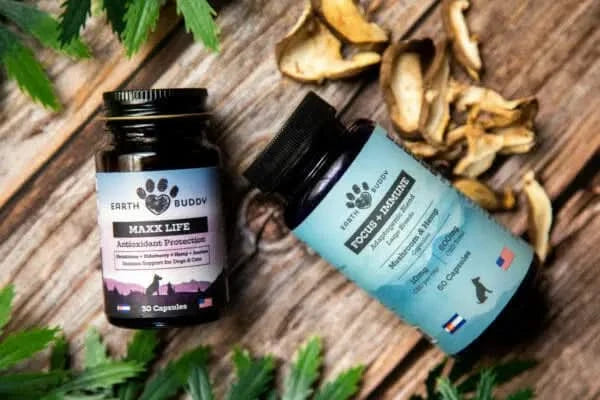 Earth Buddy’s Senior Support Pack for Large Breed Dogs with mushrooms and hemp supports aging dogs.
