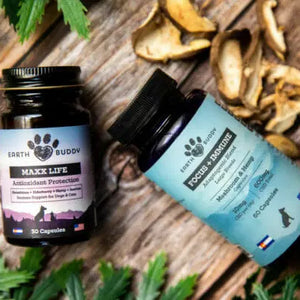 Earth Buddy’s Senior Support Pack for Large Breed Dogs with mushrooms and hemp supports aging dogs.
