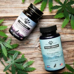 Two bottles from Earth Buddy’s Senior Support Supplement Pack for Large Breed Dogs.
