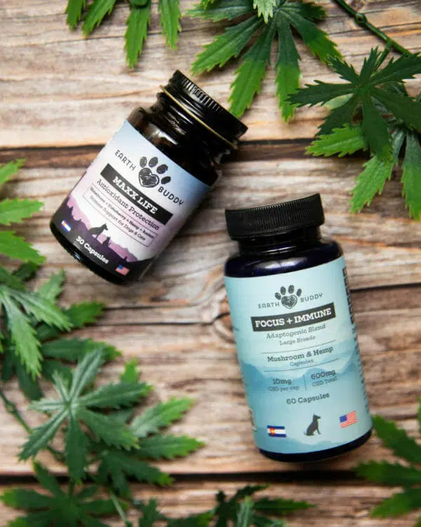 Two bottles from Earth Buddy’s Senior Support Supplement Pack for Large Breed Dogs.
