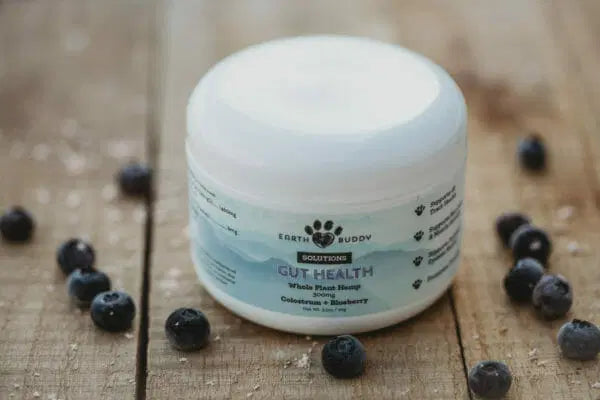 blueberries around a container of Colostrum for Dogs