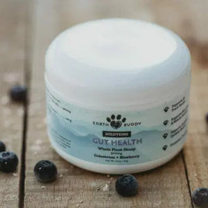 blueberries around a container of Colostrum for Dogs