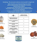 An allergy & immunity supplement for dogs powder made from functional mushrooms from Earth Buddy.
