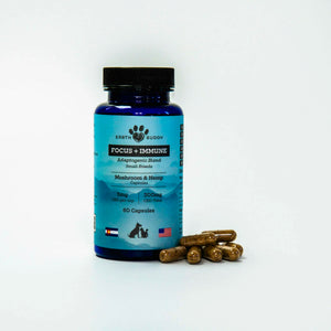 A container of Earth Buddy Gut Health and Focus + Immune. These products make the Immune Defense Pack for Cats & Small Breed Dogs.

