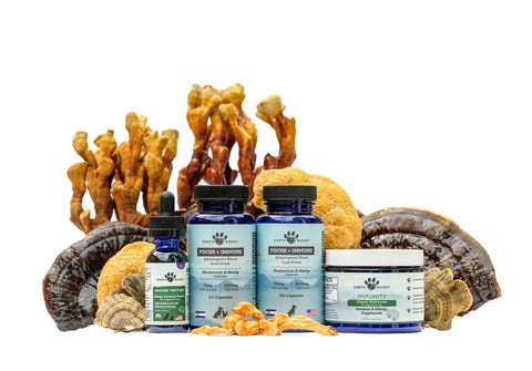 Earth Buddy Lion's Mane mushroom supplement for dogs and cats, triple extracted and freeze dried