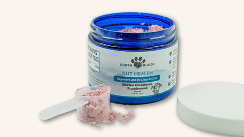 Dog Supplements: Quercetin VS Glutathione - Earth Buddy Earth Buddy Pet Dog Supplements: Quercetin VS Glutathione - Earth Buddy Earth Buddy Pet