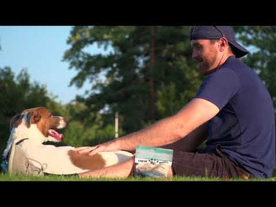 Earth Buddy Balance CBD Oil for dogs and cats is a blend of 50/50 CBD, CBDa. Balance CBD, CBDa tincture in its box.
