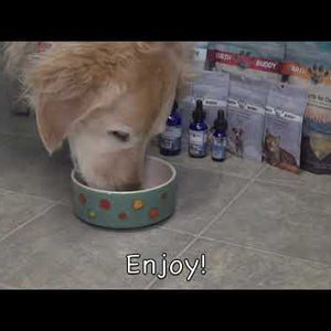 Earth Buddy Balance CBD Oil for dogs and cats is a blend of 50/50 CBD, CBDa. Balance CBD, CBDa tincture in its box.
