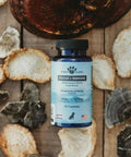A bottle of Earth Buddy’s Focus + Immune with reishi mushrooms. 
