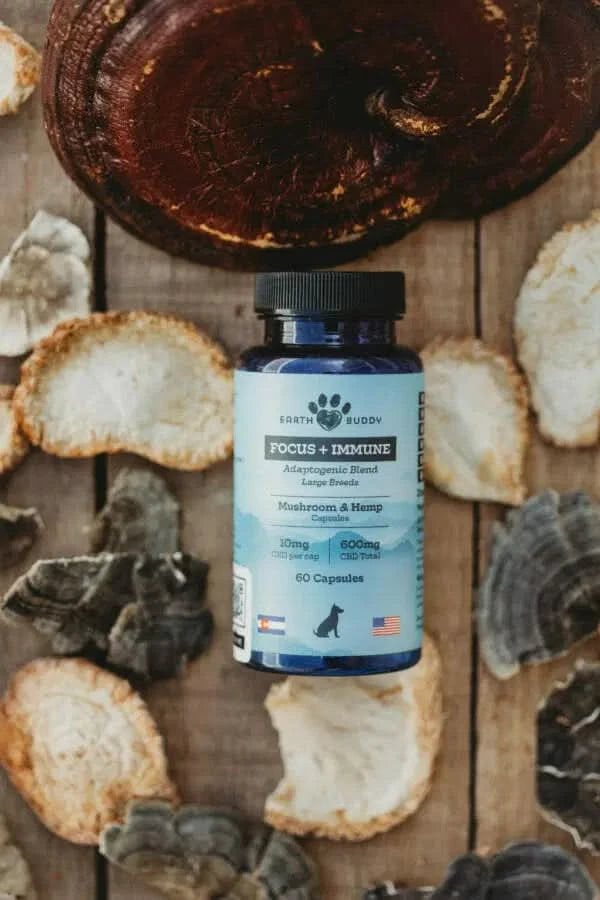 A bottle of Earth Buddy’s Focus + Immune with reishi mushrooms. 
