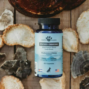 A bottle of Earth Buddy’s Focus + Immune with reishi mushrooms. 
