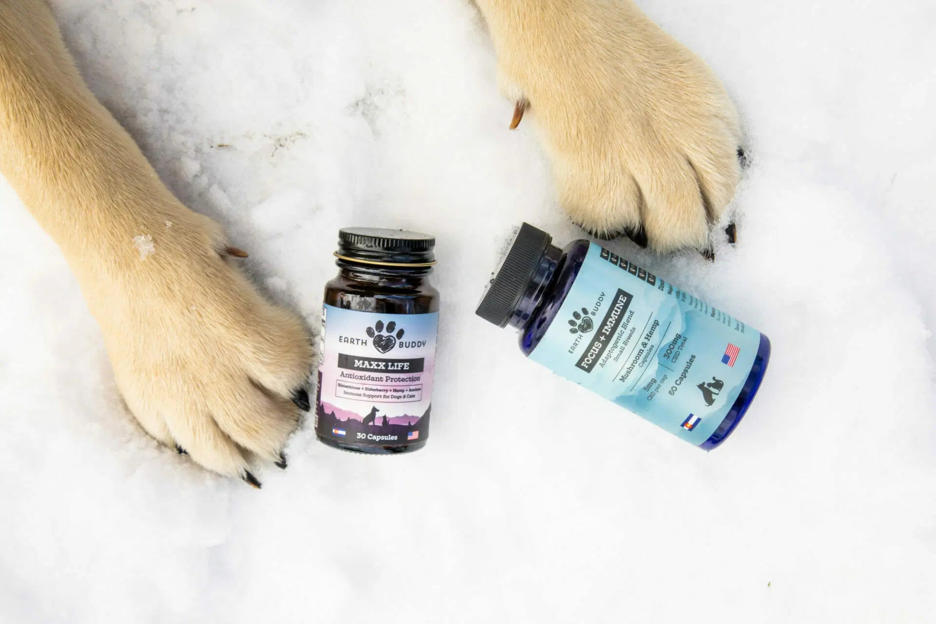 Earth Buddy Maxx Life & Focus + Immune supplements in the snow with big dog paws.
