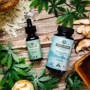 A CBDa tincture & mushroom capsules that are Earth Buddy's small dog joint supplements bundle.
