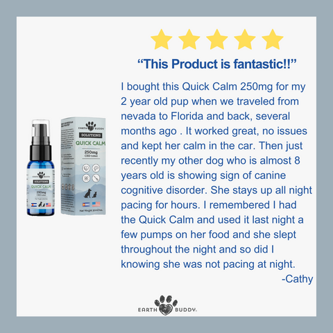 Product review for Earth Buddy Quick Calm CBD for dogs with a bottle and packaging on a light gray background.